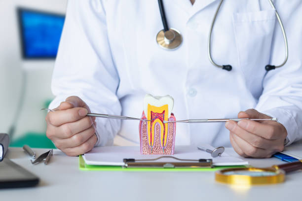 Best Emergency Dental Care for Abscessed Tooth in New Rockford, ND